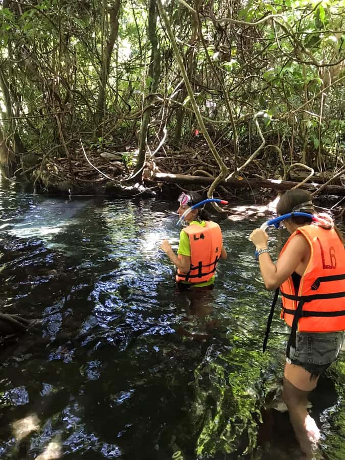 Krabi: Amazon Klong Srakaew Kayaking With Lunch - The crystal lagoon and time to swim
