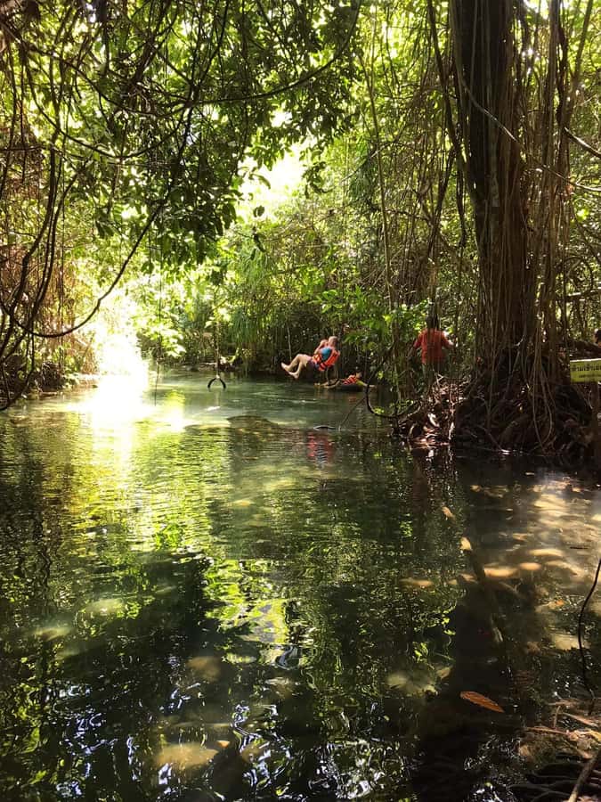 Krabi: Amazon Klong Srakaew Kayaking With Lunch - Floating downstream on a rubber tube