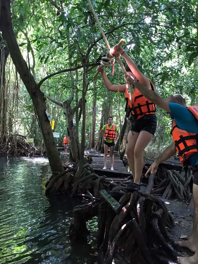 Krabi: Amazon Klong Srakaew Kayaking With Lunch - Lunch under the trees