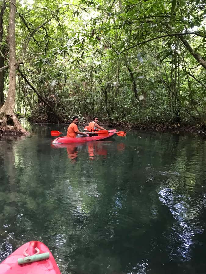 Krabi: Amazon Klong Srakaew Kayaking With Lunch - A note about confusing elephant comments
