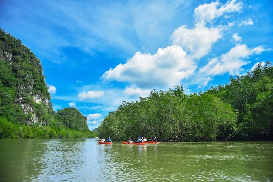 Krabi: Ao Thalane Mangrove Kayaking with Extras - Why Ao Thalane makes a fine kayak setting