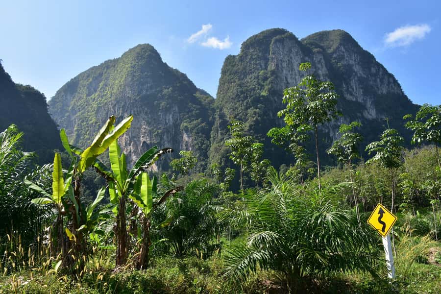 Krabi: ATV Jungle Bash & Kayak Odyssey in Din Daeng Mangrove - What to bring for a smoother day