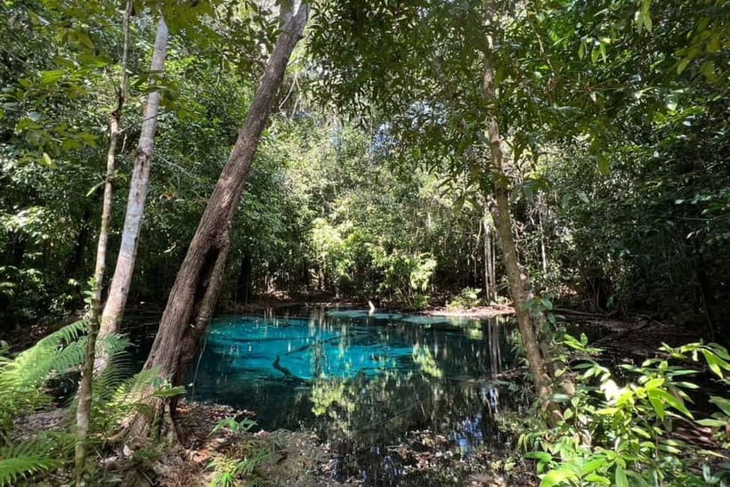 Krabi: Emerald Pool, Hot Springs, and Kayaking Tour - Kayaking under the tree canopy