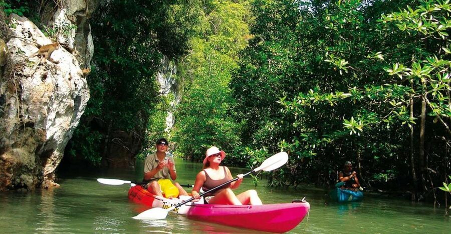 Krabi: Guided Kayaking Tour at Ao Thalane - Mangroves, monkeys, and small details