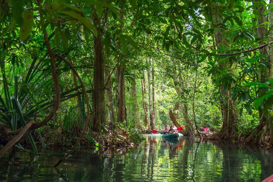 Krabi: Half-Day Blue Lagoon Kayaking at Klong Srakaew & ATV - Lunch, fruit, and the small practical comforts