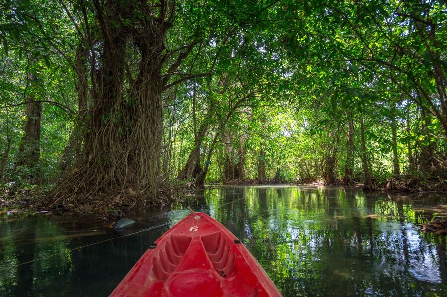 Krabi: Half-Day Blue Lagoon Kayaking at Klong Srakaew & ATV - What the guides add to the day