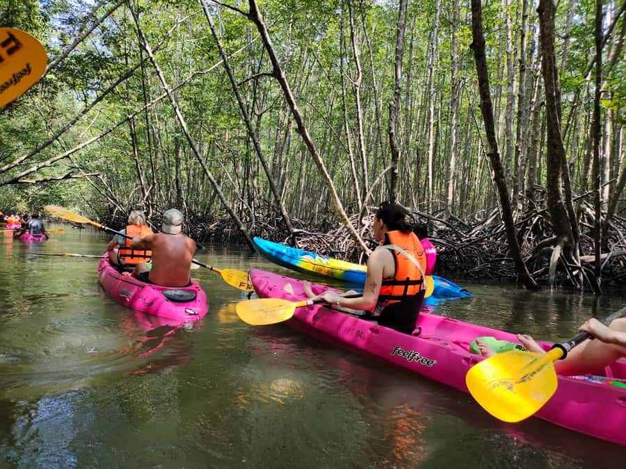 Krabi: Half-Day Kayak Adventure at Ao Thalane - Paddling into the mangrove forest