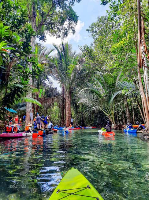 Krabi: Hidden Mirror Lake Kayak, Swim & Easy Nature Activity - Paddling through calm water and narrow green passages