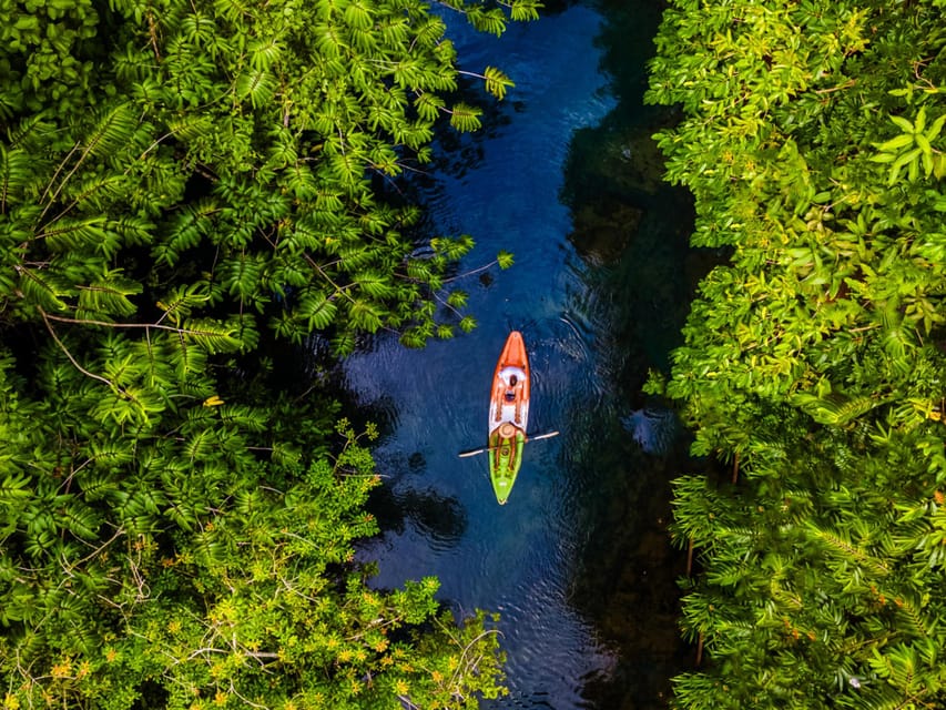 Krabi: Kayak Adventure through Ao Thalane Mangrove Forest - Who Should Book This Ao Thalane Kayak Trip?