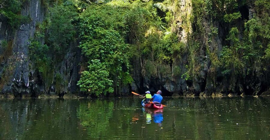 Krabi: Kayak Adventure through Ao Thalane Mangrove Forest - Through Mangrove Roots and Quiet Coastal Channels