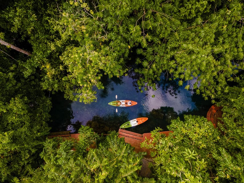 Krabi: Kayak Adventure through Ao Thalane Mangrove Forest - Monkeys, Birds, and the Chance for a Swim