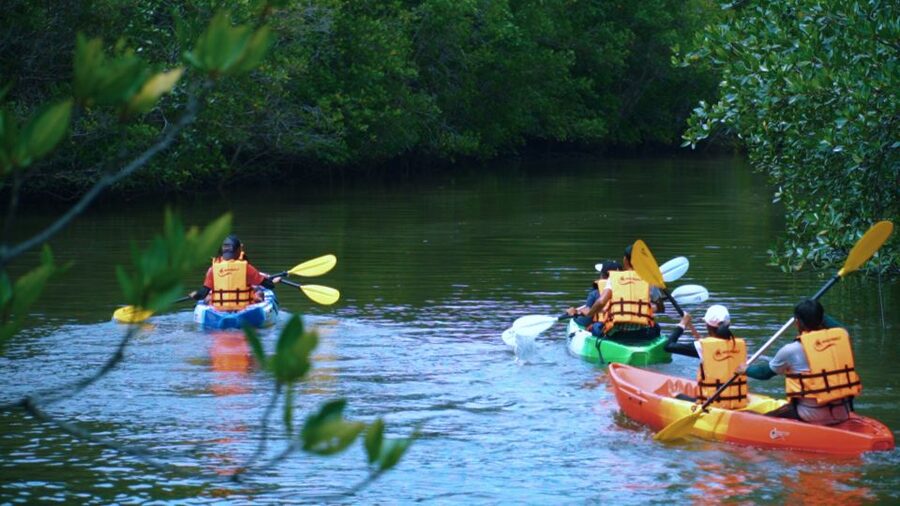 Krabi: Kayak in Mangrove Forest with Meal Aonang - Key things to know before paddling