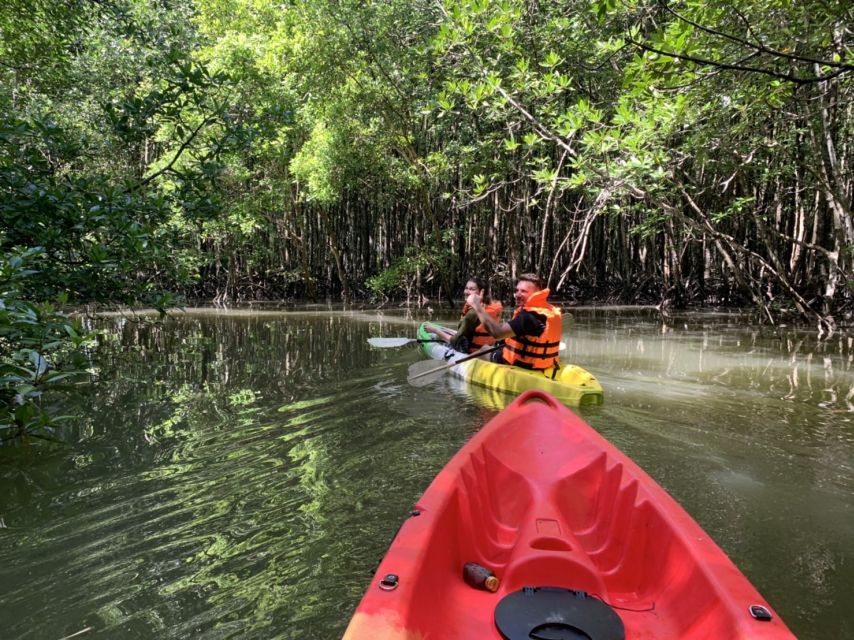 Krabi: Kayak in Mangrove Forest with Meal Aonang - Why the Ao Nam Mao mangroves are worth your time