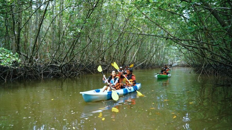 Krabi: Kayak in Mangrove Forest with Meal Aonang - From your Ao Nang hotel to the launch point