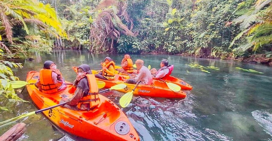 Krabi kayaking and swimming clongrood Tour - Klong Root gives you a different side of Krabi