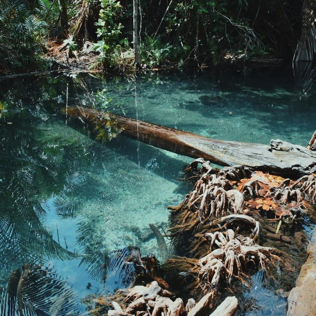 Krabi kayaking and swimming clongrood Tour - Getting set up at the forest launch point