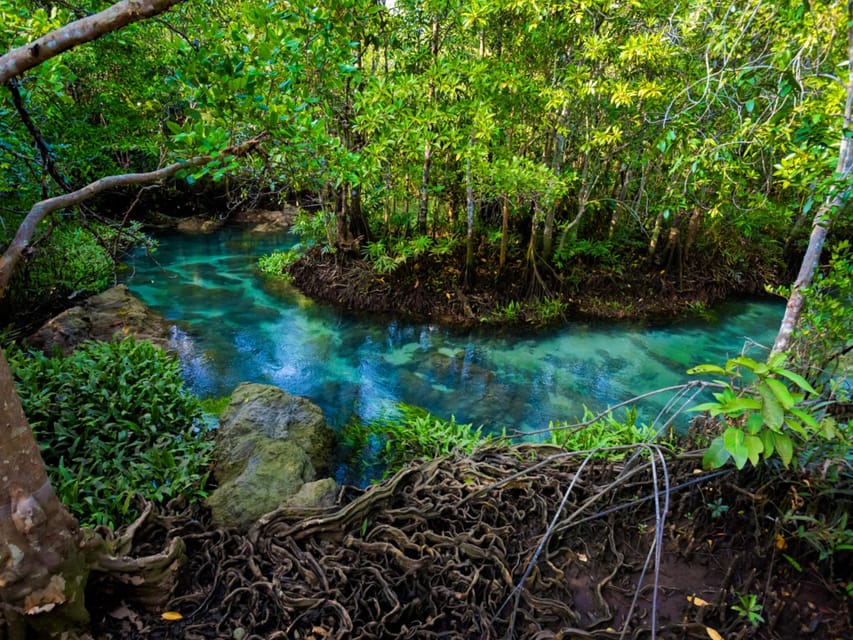 Krabi: Kayaking, Crystal Lagoon, and Fish Spa in Klong Root - What the $38 price covers