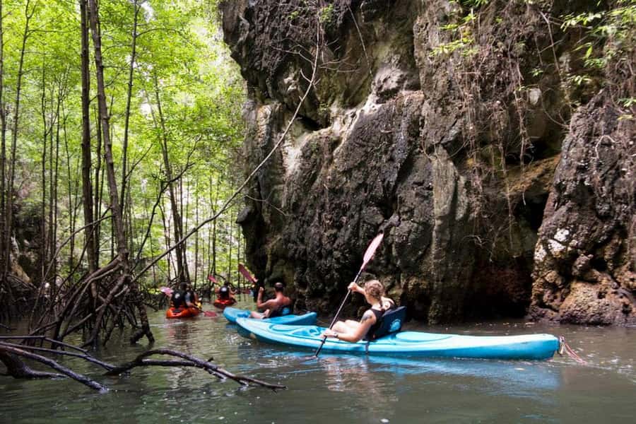 Krabi: Kayaking in Ao Thalane Bay Beautiful Mangrove Forest - What the small-group promise really means
