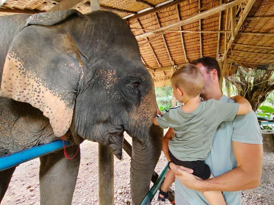 Krabi: Khao Sok Elephant Rescue Center & Bamboo Raft Paddle - Who should book this experience?