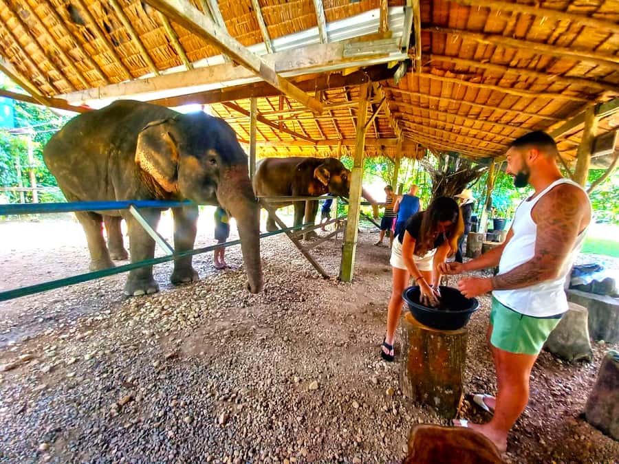 Krabi: Khao Sok Elephant Rescue Center & Bamboo Raft Paddle - Meeting the rescued elephants at Thongsuk Elephant Park
