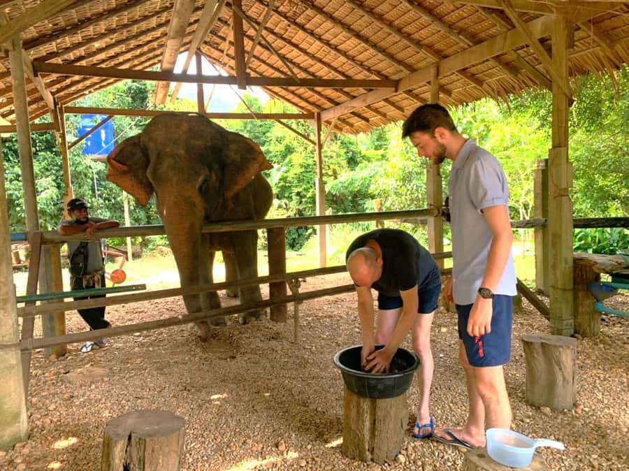 Krabi: Khao Sok Elephant Rescue Center & Bamboo Raft Paddle - Cooking papaya salad and eating southern Thai lunch