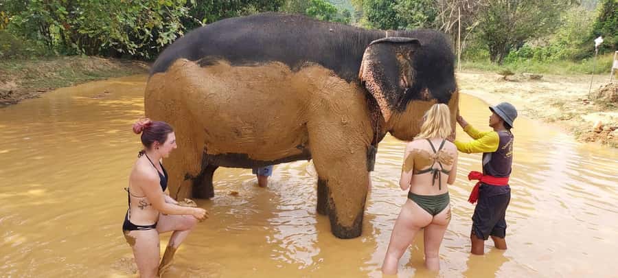 Krabi: Khao Sok Elephant Rescue Center & Bamboo Raft Paddle - The final waterfall stop