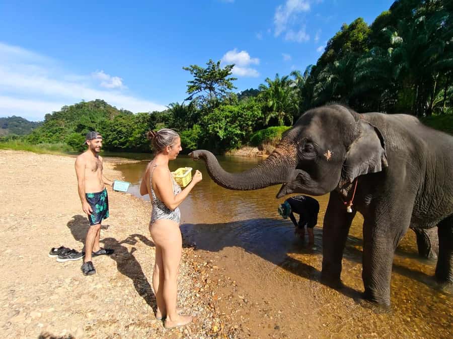 Krabi: Khao Sok Elephant Rescue Center & Bamboo Raft Paddle - How the guide affects the day