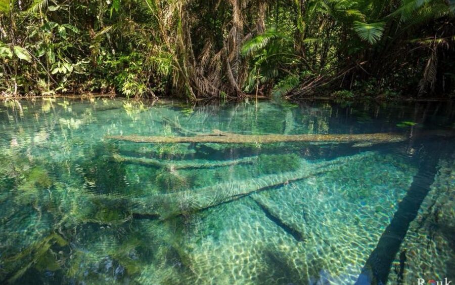 Krabi: Khlong Nam Sai Lagoon with Kayaking & Optional ATV - Reaching the clear-water spring