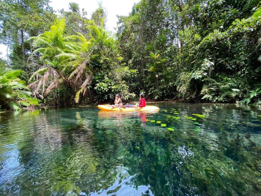 Krabi: Khlong Nam Sai Lagoon with Kayaking & Optional ATV - Paddling through rainforest and plantations