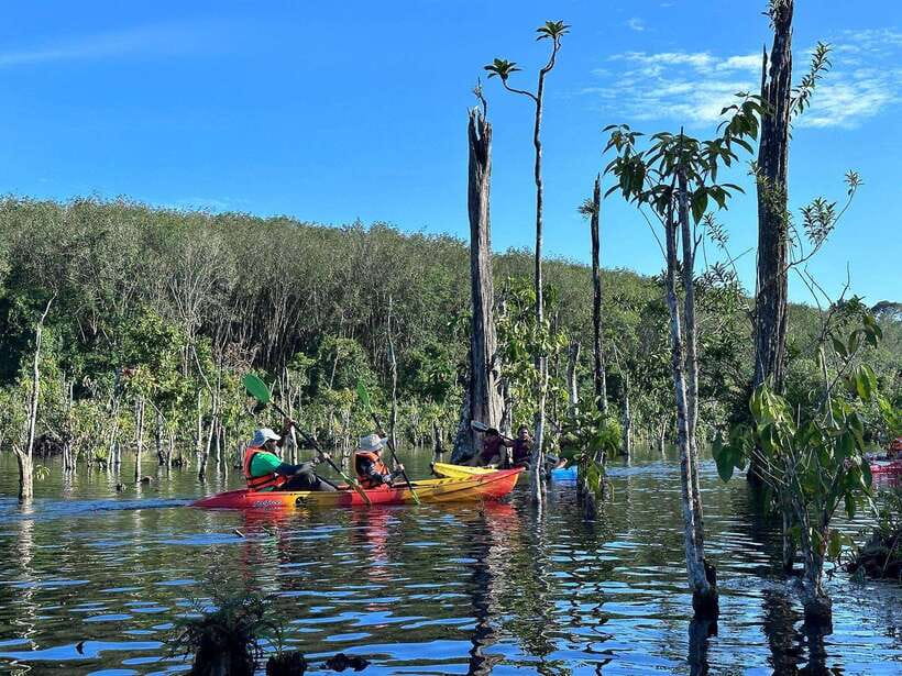 Krabi: Klong Root (Crystal lake) Kayaking tour - Klong Root’s clear water makes the trip special