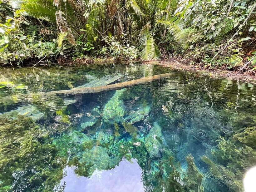 Krabi: Klong Root (Crystal lake) Kayaking tour - Getting into the kayak and starting the paddle