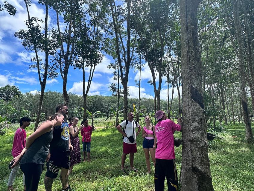 Krabi: Klong Root Kayaking Viewpoint,Fish Feeding and more - Kayaking through swamp forest and spring water