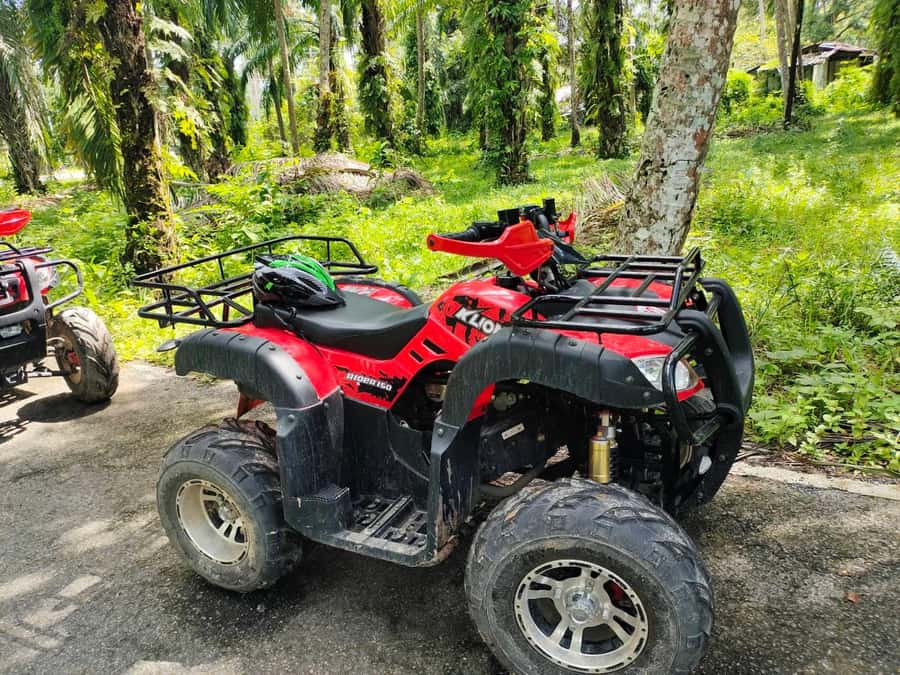 Krabi : Krabi kayak & ATV Jungle adventure (group of 10 max) - What the $61 price really covers