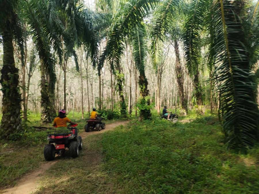 Krabi : Krabi kayak & ATV Jungle adventure (group of 10 max) - Who will enjoy this outing most