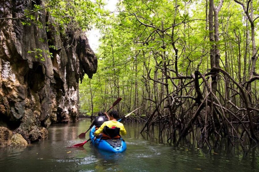 Krabi: Private Sea Kayaking in Ao Thalane and Hong Island - Key points to know before booking