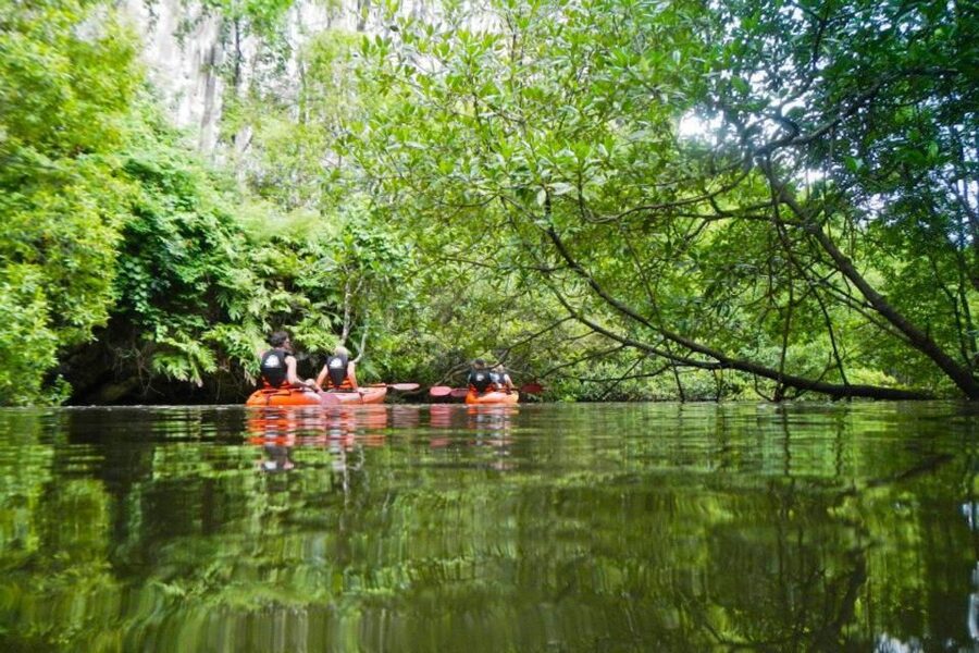 Krabi: Private Sea Kayaking in Ao Thalane and Hong Island - Why Thalane Bay is worth paddling