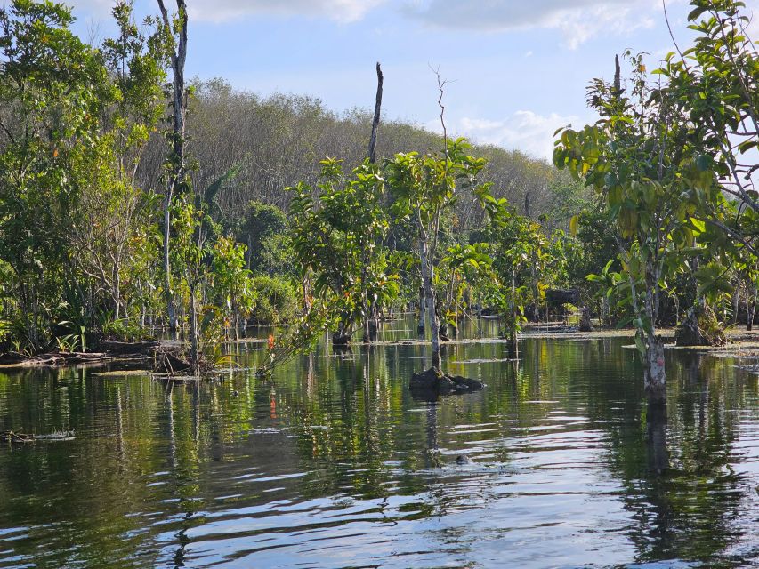 Krabi: South Kayak Klong Root Kayaking Tour - Small practical details that matter