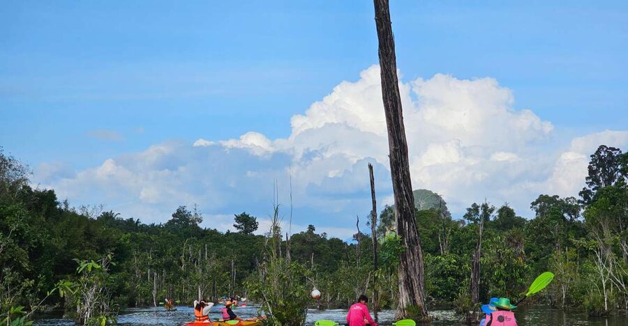 Krabi: South Kayak Klong Root Kayaking Tour - Klong Root, Krabi’s quieter side