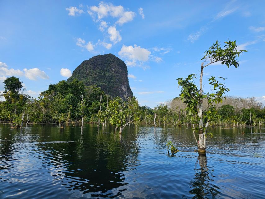 Krabi: South Kayak Klong Root Kayaking Tour - Why the mangroves are worth your hour