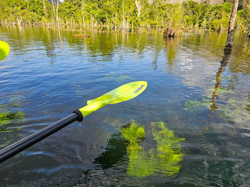 Krabi: South Kayak Klong Root Kayaking Tour - The welcome, staff, and overall mood
