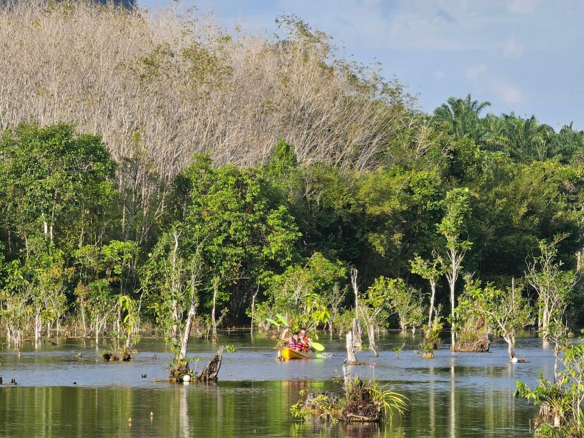 Krabi: South Kayak Klong Root Kayaking Tour - Is $18 good value?