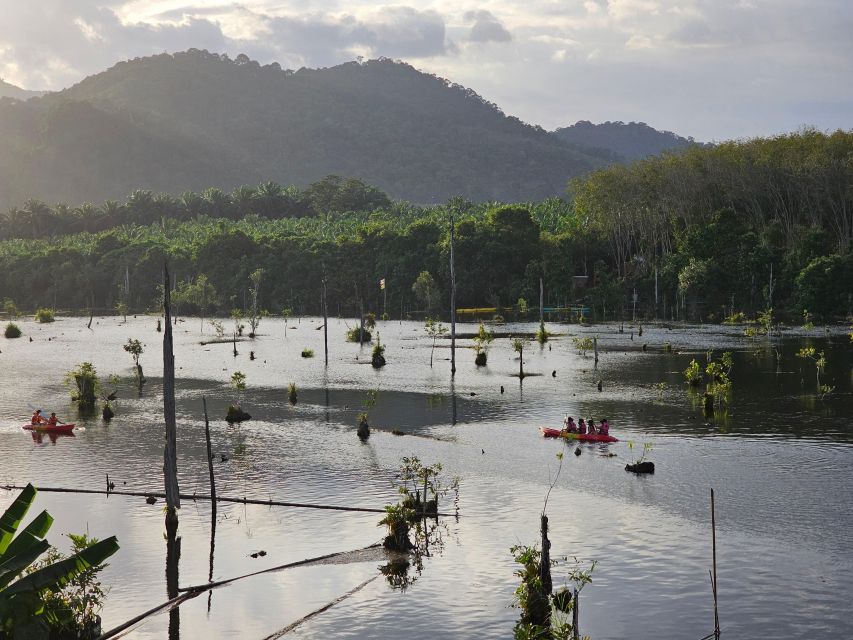 Krabi: South Kayak Klong Root Kayaking Tour - Who should book this experience