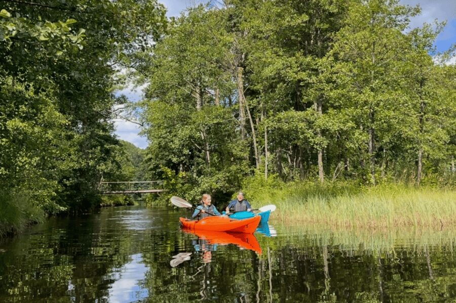 Kristiansand: River Kayaking Adventure - Who should book this river trip?