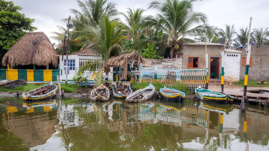 La Boquilla: 3-Hour Canoe Tour through the Mangroves - Leaving Cartagena for La Boquilla