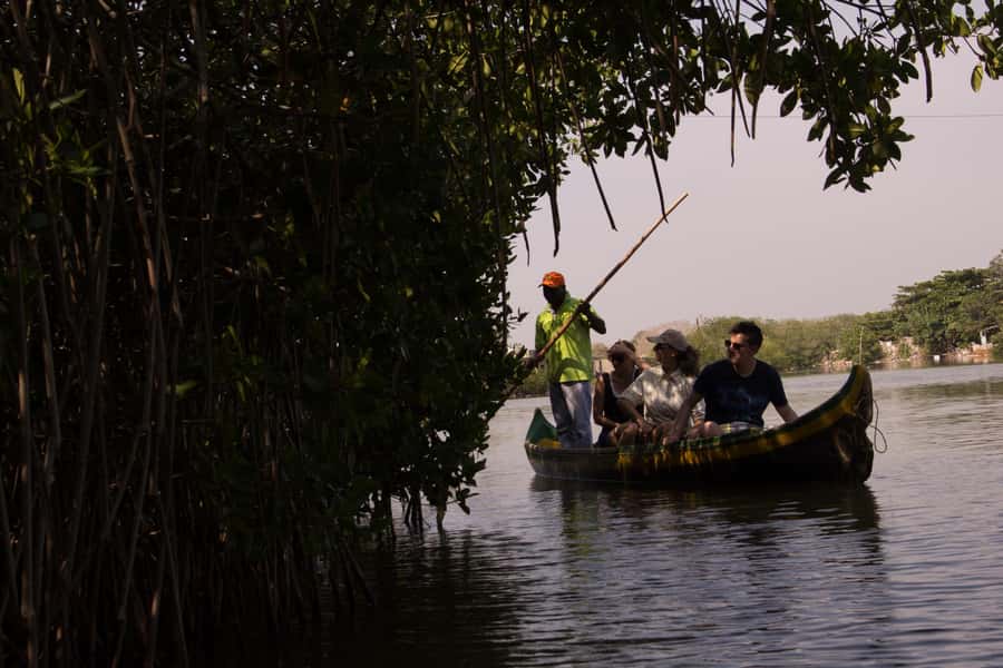 La Boquilla: 3-Hour Canoe Tour through the Mangroves - Paddling Into the Mangrove Tunnels