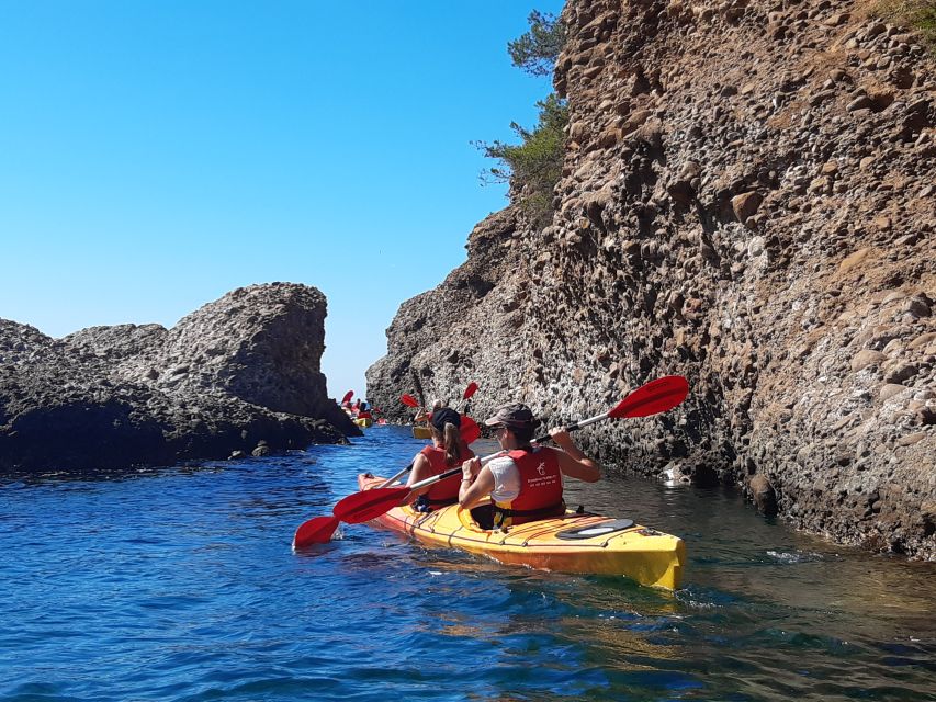 La Ciotat: Calanques National Park Guided Kayak Tour - Half-day or full-day: choosing the right version
