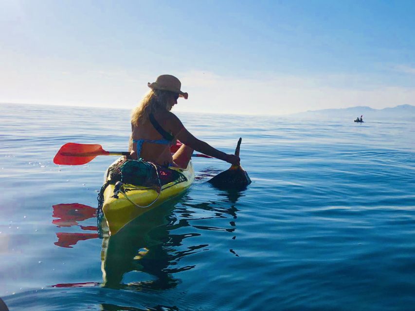 La Herradura: Cerro Gordo Natural Park Kayak & Snorkel Tour - Should you book the Cerro Gordo kayak tour?
