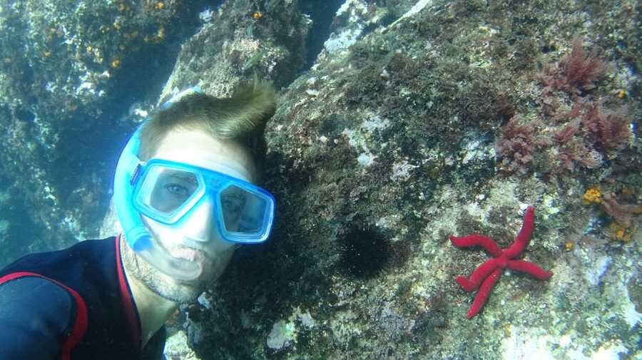 La Herradura: Cerro Gordo Natural Park Kayak & Snorkel Tour - The snorkeling stop and what you may see