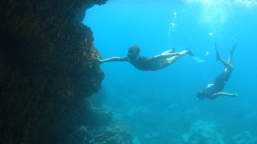 La Herradura: Cerro Gordo Natural Park Kayak & Snorkel Tour - What the guides do well