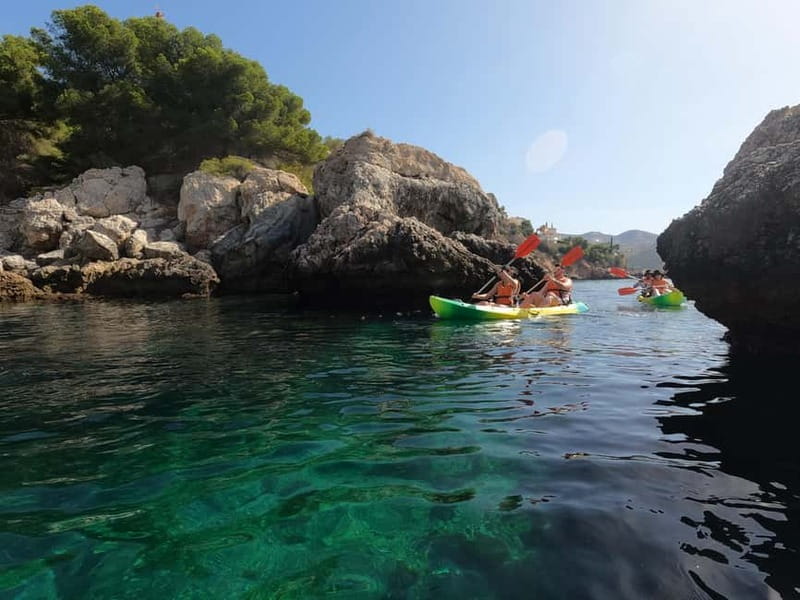 La Herradura: Kayak & Snorkel Tour Maro-Cerro Gordo Reserve - Local stories, wildlife, and the value of a guide